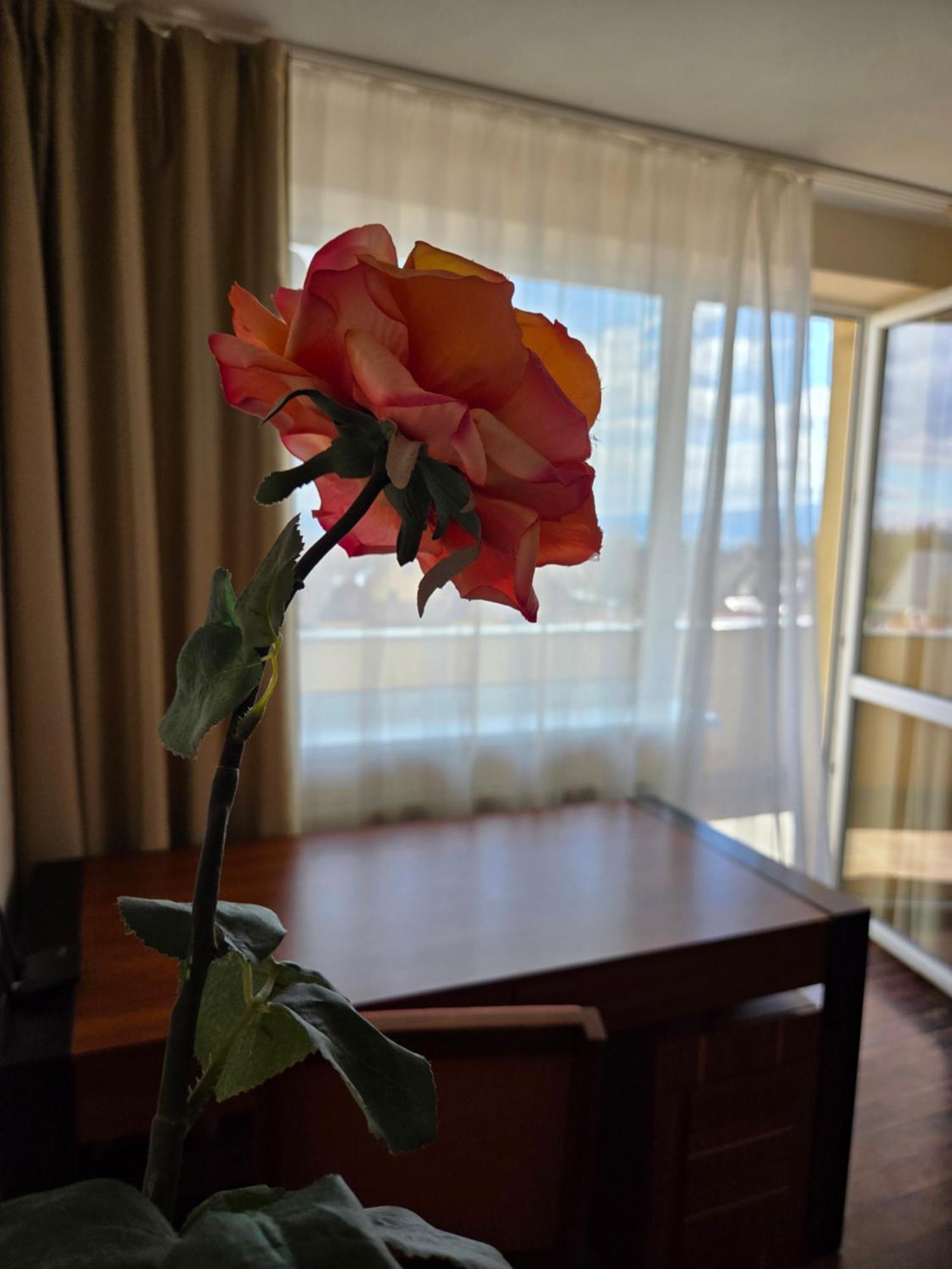Apartment High Tatras Veľký Slavkov 외부 사진